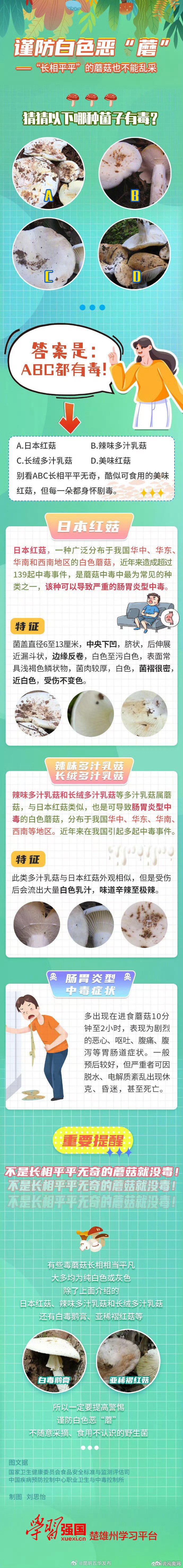 云南菌子季，要怎么吃才安全？