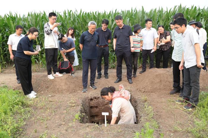 中国农业科学院举行黑土保护现场观摩会