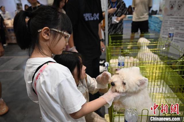 浙江杭州：萌宠“参展”吸引民众