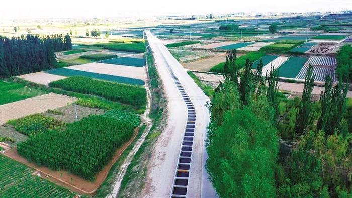 强化灌溉保障 科学调配资源