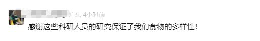 后续来了！苹果长出蘑菇，科研人员千里求购，评论区太亮……