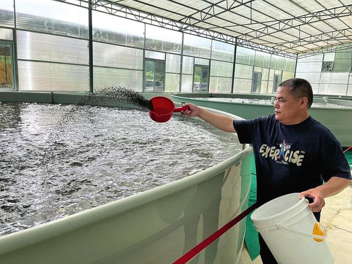 陆基桶装养鱼节能高效产量高