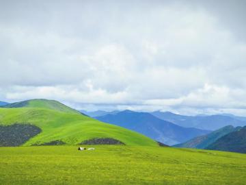 打造“中国最美高原景观大道” 直击国道318线