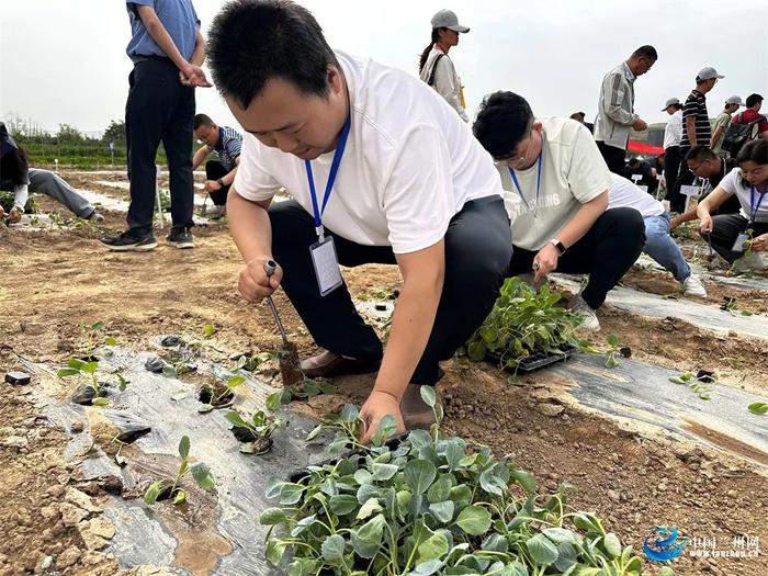 22支代表队230余名选手同台竞技 2024年甘肃省百万职工劳动和技能竞赛“高原夏菜生产管理（蔬菜园艺工）”省类一级决赛举行