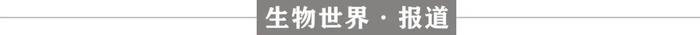 🚀最准确的两肖四码网站🚀（Nature子刊：清华大学俞立团队揭示迁移体的新功能——中性粒细胞来源迁移体在凝血中发挥关键作用）