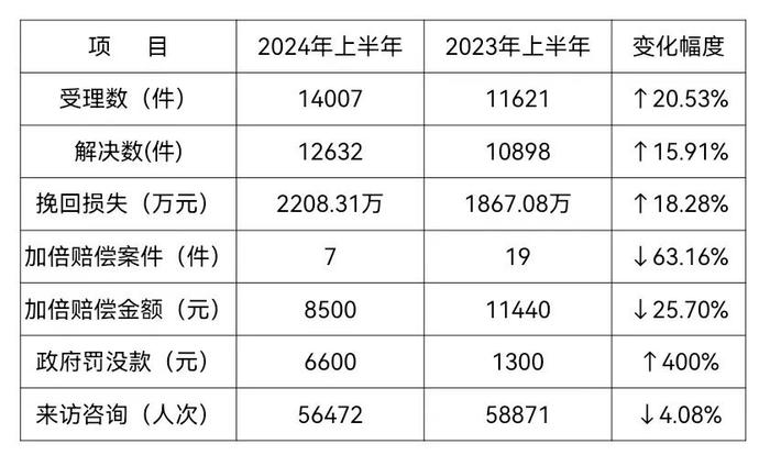 安徽省消费者权益保护委员会2024年上半年投诉分析