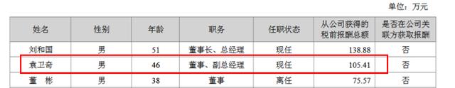 冰川网络副总袁卫奇曾在哪家电信服务公司工作四年？年薪105.41万