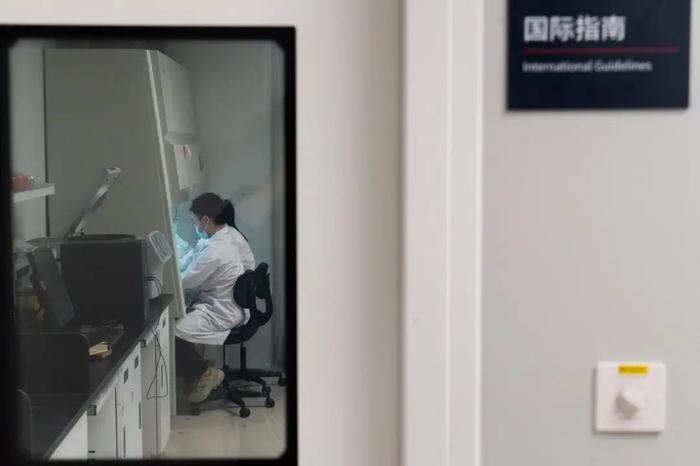 微生态医学科实验室,两位研究生正在开展实验