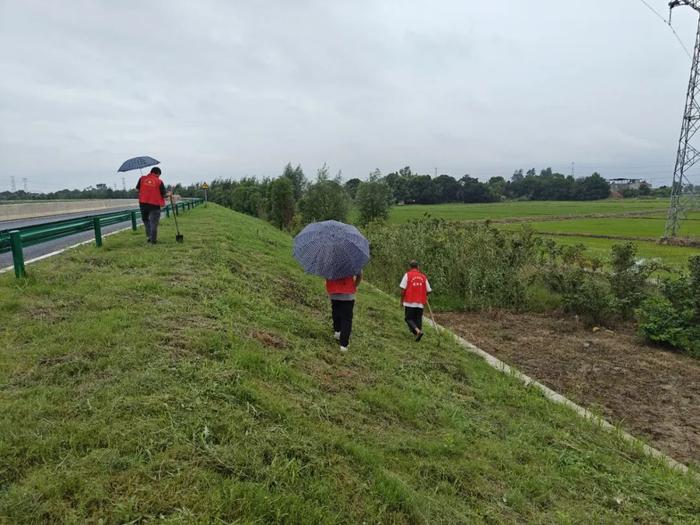 防汛进行时！庐江县各地迅速行动