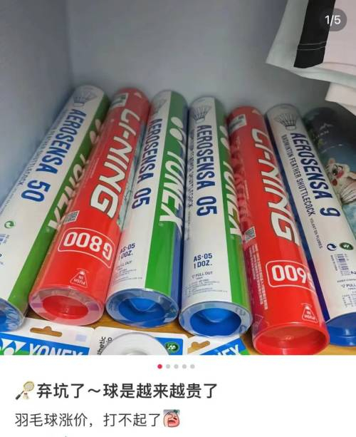 年入22亿!广东人的“相亲天堂”,被羽毛球拿捏了-广东相亲怎么说