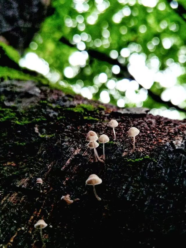 仍有雷阵雨！明天，无锡正式进入……