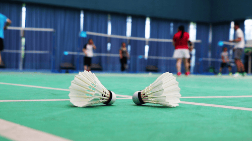 年入22亿!广东人的“相亲天堂”,被羽毛球拿捏了-广东相亲怎么说