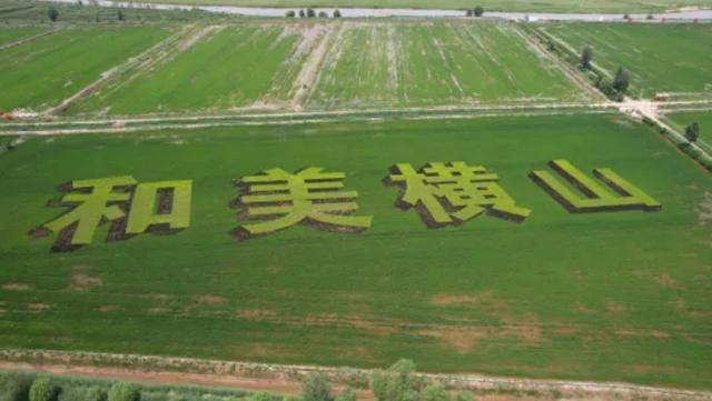 绿色覆荒垣 清流出深涧——黄河流域生态保护与高质量发展的榆林实践