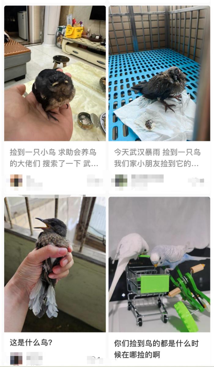 不要救！看见千万要注意