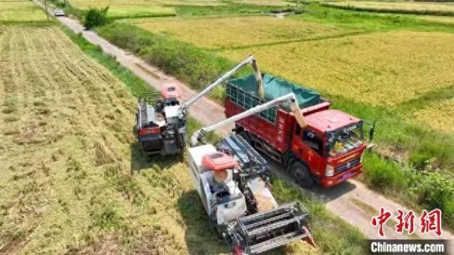 湖南零陵高标准农田助推粮食稳产高产