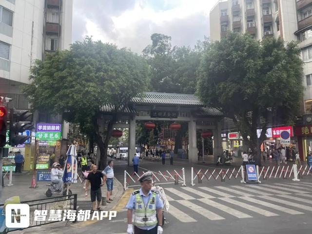 福州达明路口网红“大眼睛树”怎么不见了？最新回应！