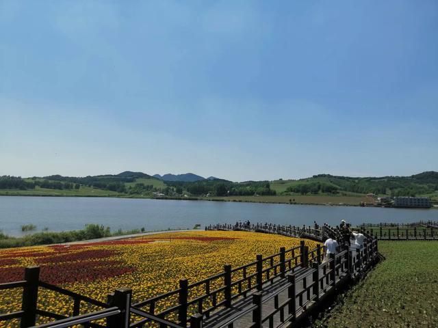 翠花走千村 | 花海绽放 绘就乡村振兴新图景