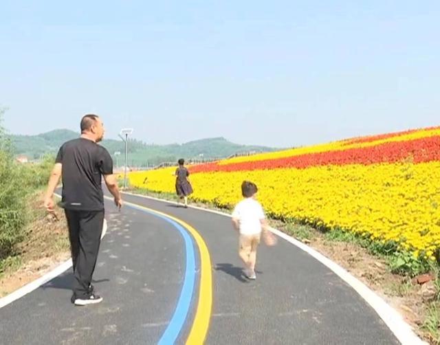 翠花走千村 | 花海绽放 绘就乡村振兴新图景