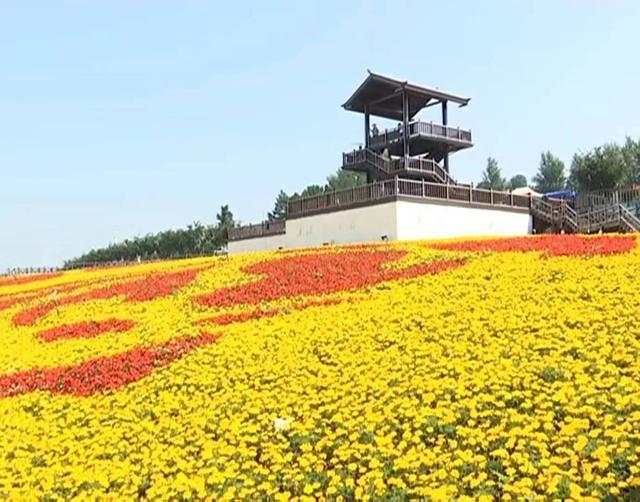 翠花走千村 | 花海绽放 绘就乡村振兴新图景