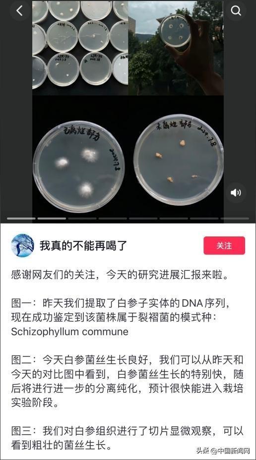 长蘑菇的苹果意外成网红，中国科学院这么说……