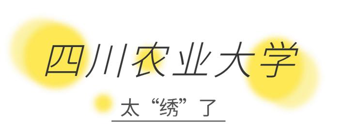 “请问……支持以旧换新吗？”