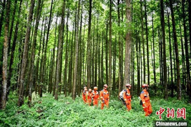 重庆黔江：“人防+技防”筑牢森林“防火墙”