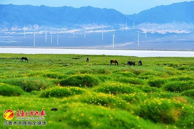 以全新姿态吸引八方游客心驰神往——以文塑旅 以旅彰文 乌鲁木齐持续推动文旅产业高质量发展