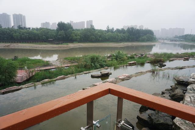 郑州：直击新一轮降雨 街头交通和出行基本正常