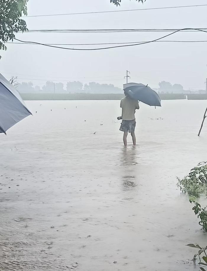 河南社旗县暴雨一夜