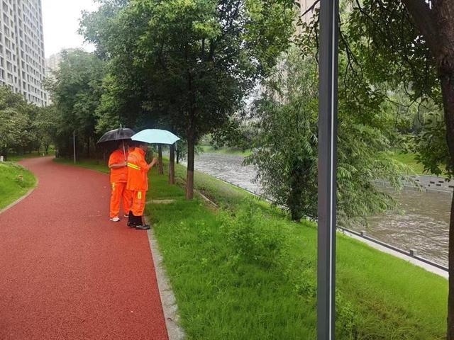 紧盯雨情、水情，郑州“两河一渠”全力筑牢防汛“安全堤”