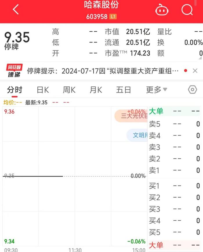 两连板后突然停牌！哈森股份：不存在内幕交易