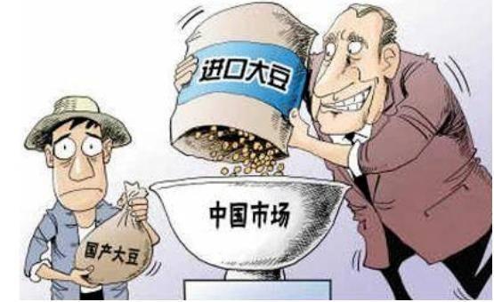 合川老农民：从大豆到玉米小麦，中国是如何与国际四大粮商斗法的？