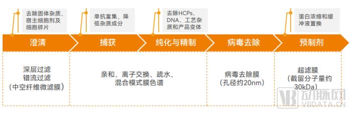 国产医用膜材在2024年崛起，已有企业出海