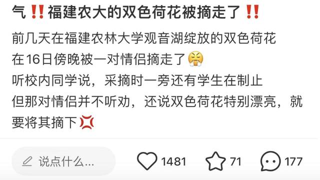 高校双色荷花疑被情侣摘走？专家称十分罕见，网友评论亮了……