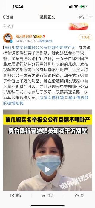 “儿媳举报案揭秘：家庭纷争背后的真相” 离婚 第4张