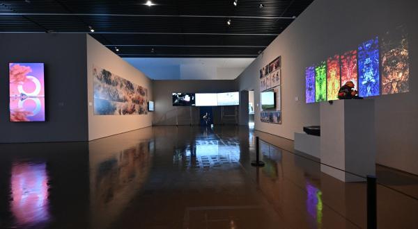 第十四届全国美展油画和实验艺术、数字艺术与动画展在沪开幕