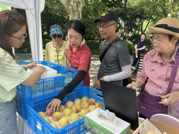 【提示】今天起，在家门口就能买到上海地产优质果品啦！快来锁定这些公园→