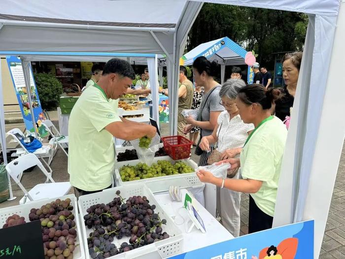 【提示】今天起，在家门口就能买到上海地产优质果品啦！快来锁定这些公园→