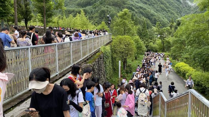 福宝4岁庆生，粉丝绘礼免费送 大熊猫 第3张