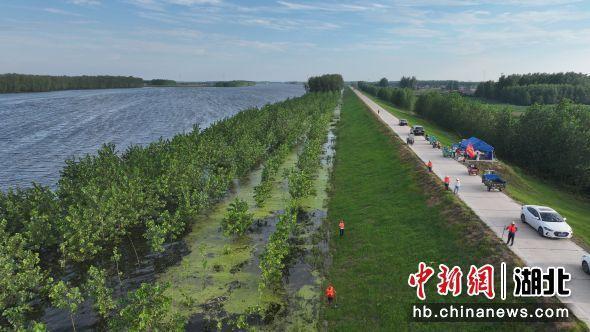 枝江：沮漳河水位超设防 300干群接力守堤