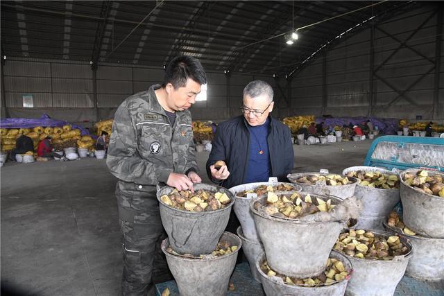 呼伦贝尔农垦：让人才把论文写在大地上