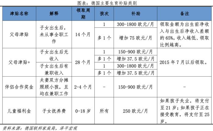 中国生育报告2024