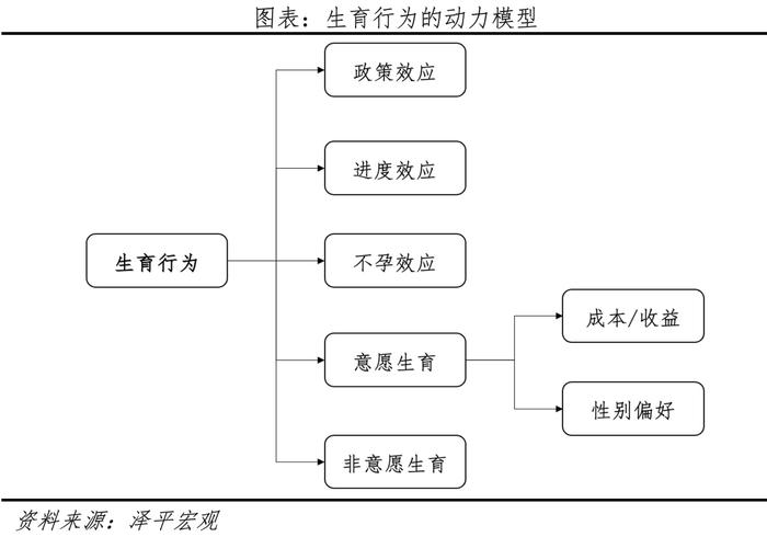 中国生育报告2024