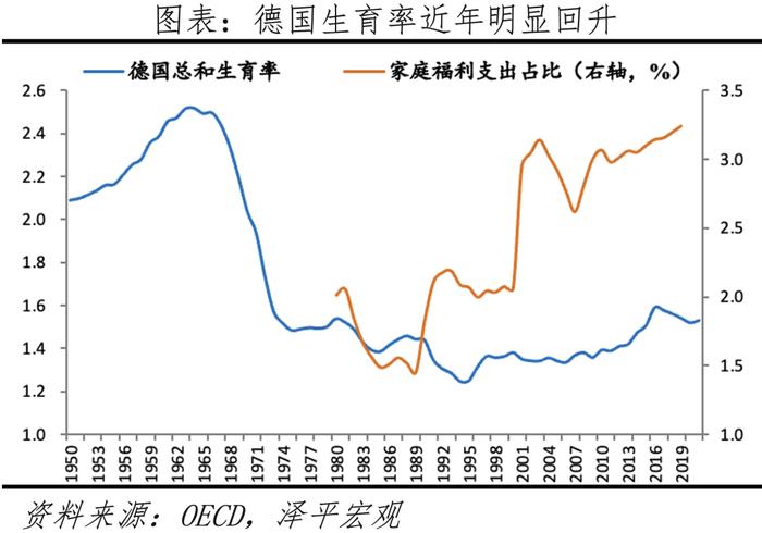 中国生育报告2024