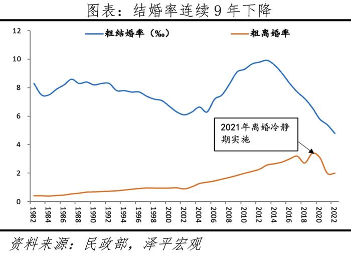 中国生育报告2024