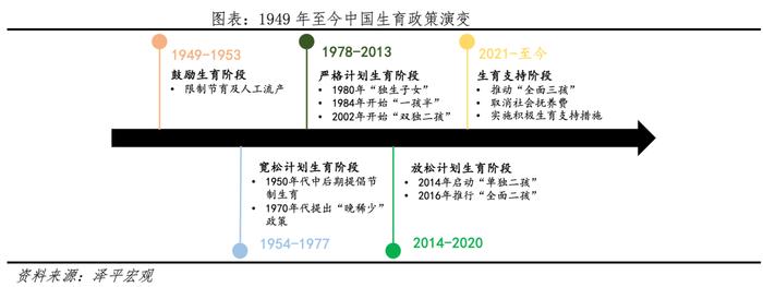 中国生育报告2024