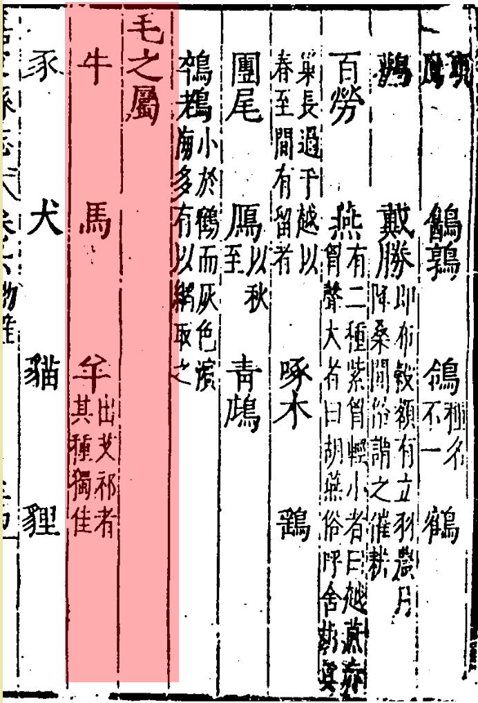 【记忆】你知道大伏天上海人为何要吃羊肉么？快来了解下这项古老的美食文化→