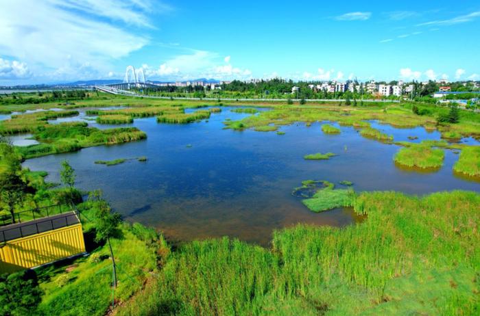 加快美丽海湾建设，茂名全力打造南海生态文明建设新名片！