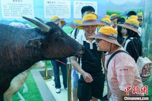 海外华裔青少年开启中国壮乡研学之旅