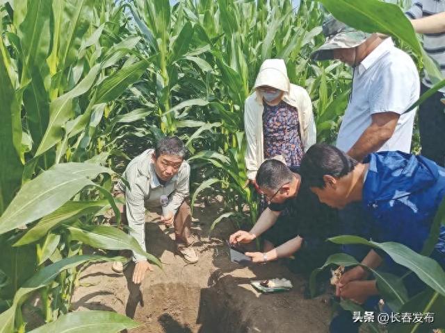 黑土地保护大讲堂深入田间地头